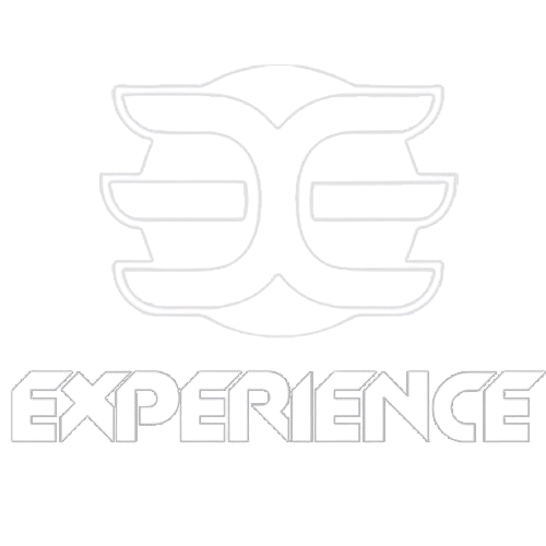 Experience